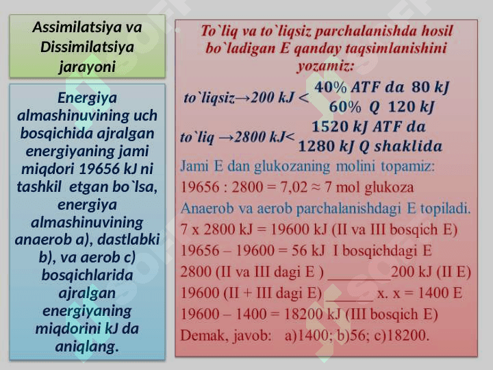 ASSIMILATSIYA VA DISSIMILATSIYAGA OID MASALA VA MISOLLAR YECHISH 8