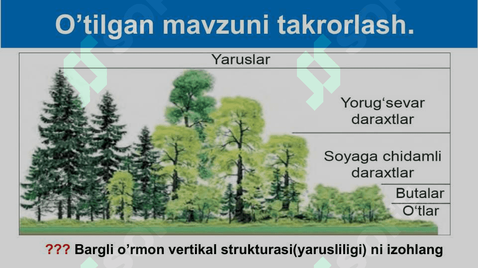 Mavzu: Ekotizimning trofik strukturasi 4