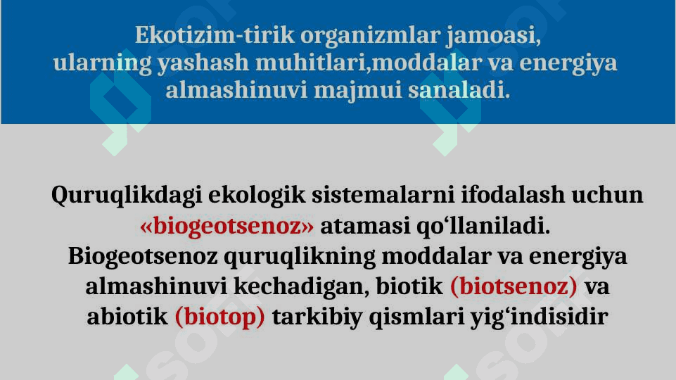 Mavzu: Ekotizimning trofik strukturasi 5