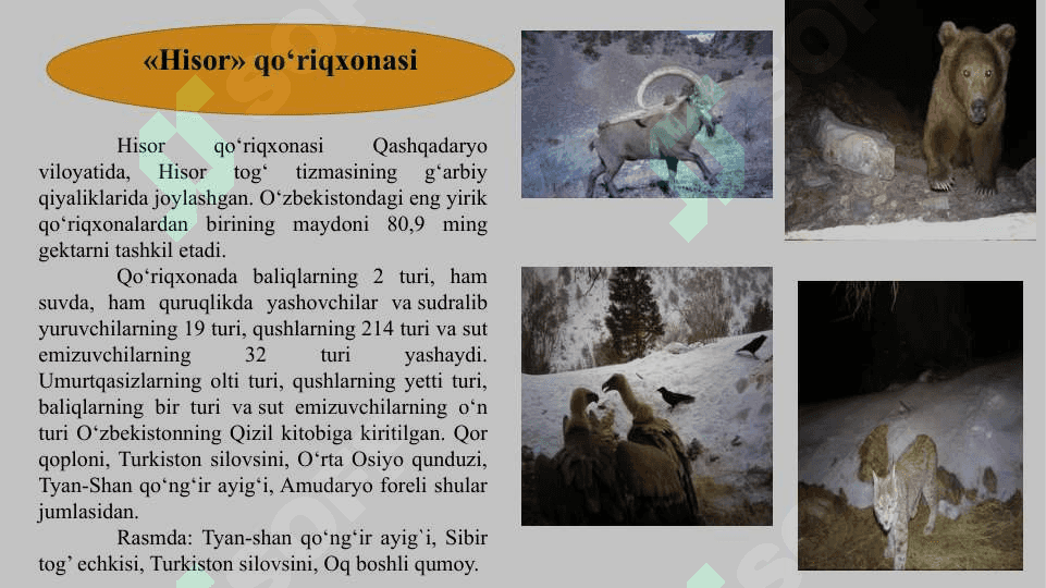 ALOHIDA MUHOFAZA QILINADIGAN TABIIY HUDUDLAR 8