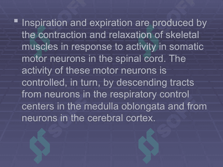 Regulation of breathing 3