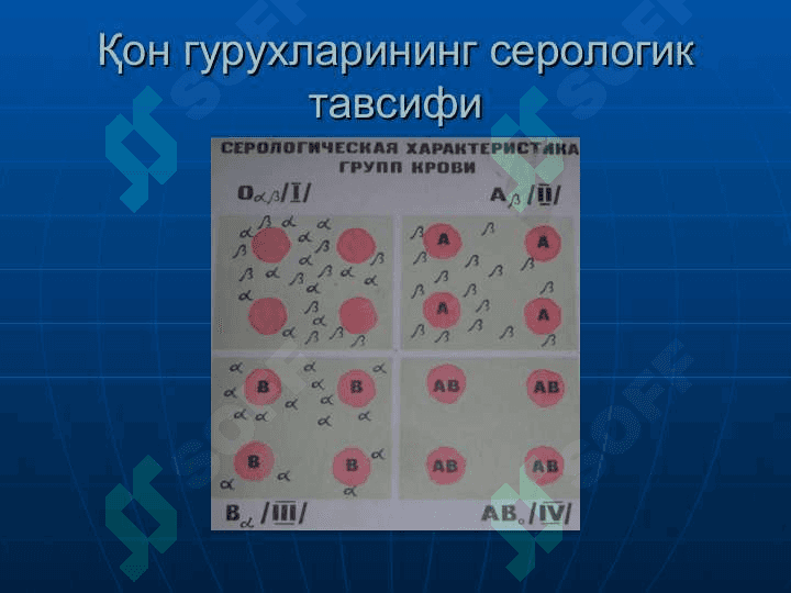 Qon quyish uzb.ppt 8