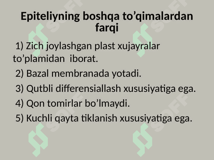 epiteliy to'qimasi 2