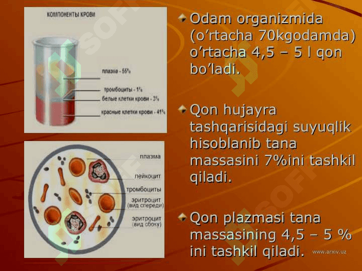 QON  TOMIR FIZIOLOGIYASI 8