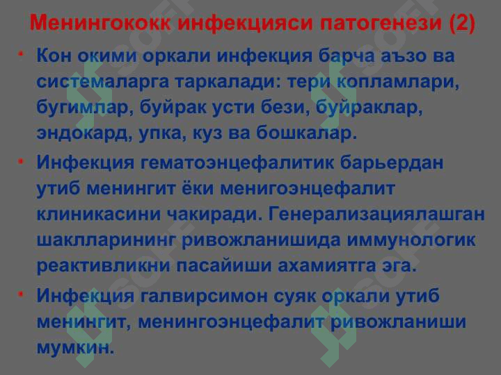 МЕНИНГОКОКК ИНФЕКЦИЯСИ 8