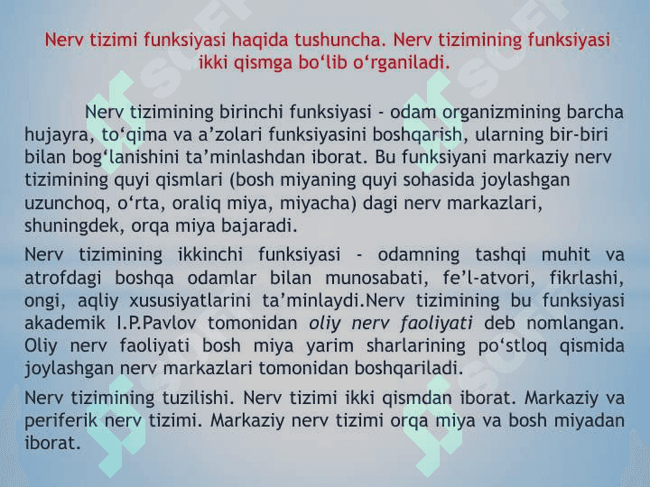 Nerv tizimi va oliy nerv faoliyati. Analizatorlar 2