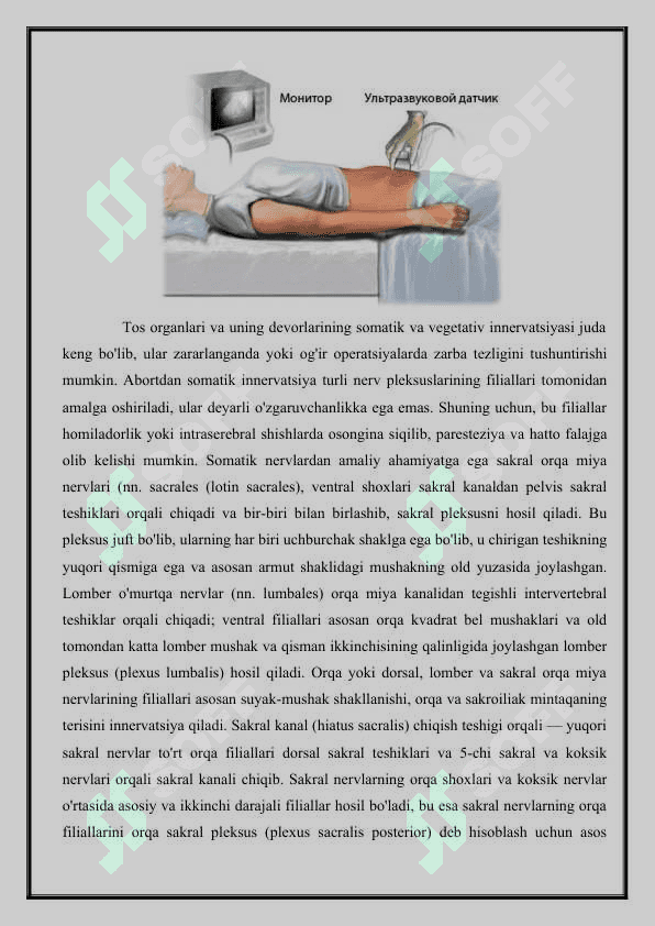 TOS ORGANLARINING INNERVATSIYASI  BUZILISH  SINDROMILARI 2