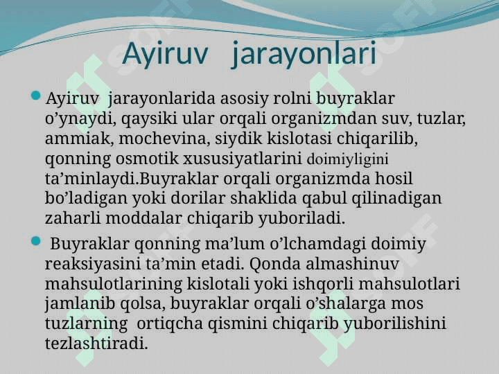 Buyrak va buyraklar  faoliyati 2