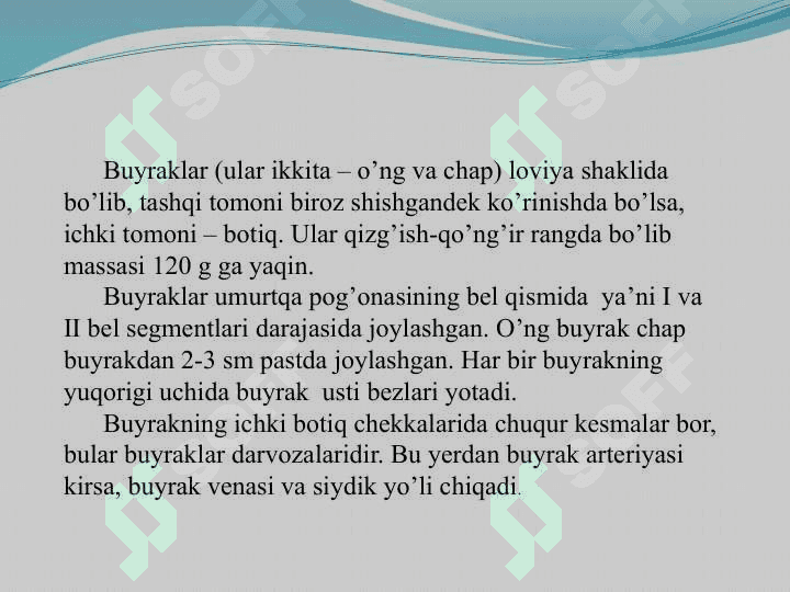 Buyrak va buyraklar  faoliyati 3