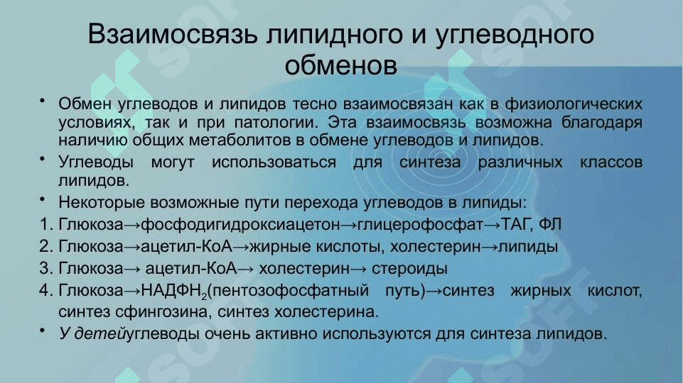 Взаимосвязь между углеводом липидном и аминокислот 2