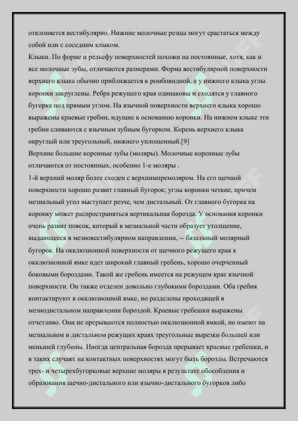 АНАТОМИЯ МОЛОЧНЫХ ЗУБОВ 3