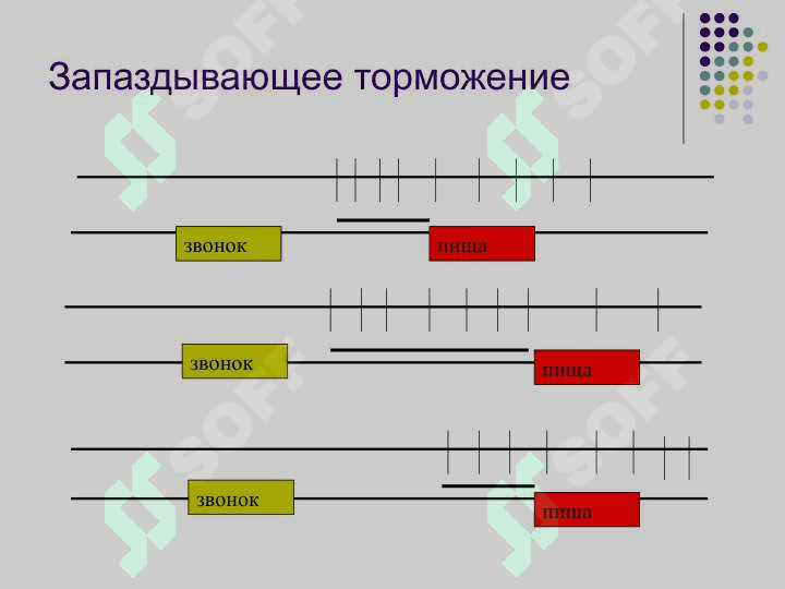 Виды сна 6