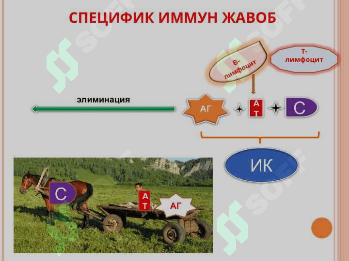 Бириктирувчи тўқима диффуз касалликларини дифференциал диагностикаси. УАВ тактикаси 3