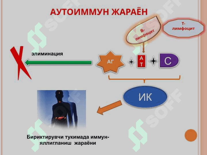 Бириктирувчи тўқима диффуз касалликларини дифференциал диагностикаси. УАВ тактикаси 4