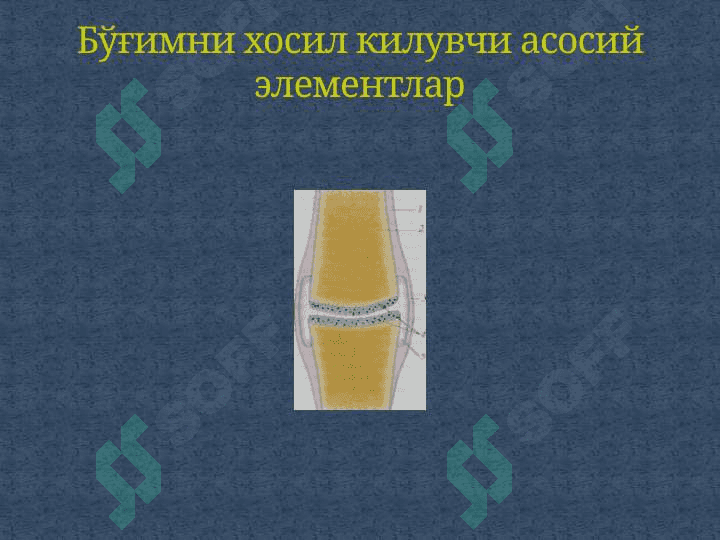 «SYNDESМOLOGIYA -СУЯКЛАРНИНГ ЎЗАРО БИРИКИШИ». 5
