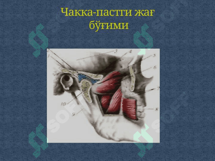 «SYNDESМOLOGIYA -СУЯКЛАРНИНГ ЎЗАРО БИРИКИШИ». 8