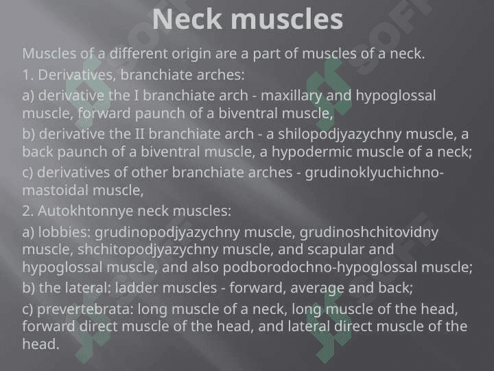 Muscles and fastion of a neck. Muscles and fastion of the head 2