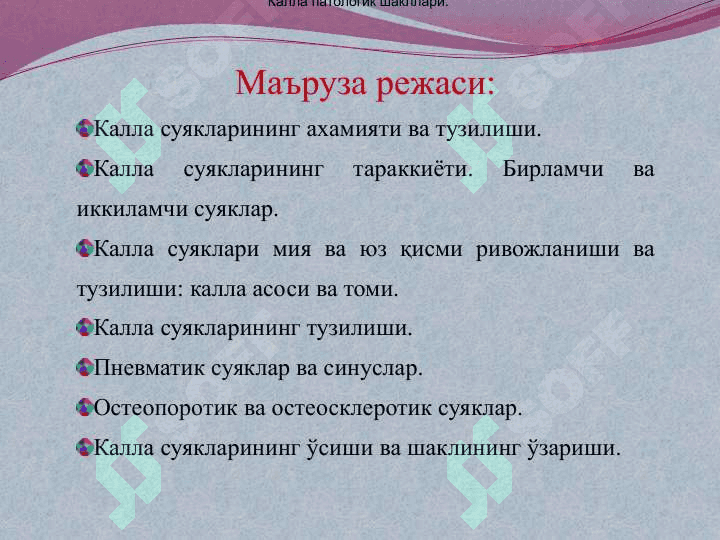 КАЛЛА СУЯКЛАРИНИНГ ТАРАҚҚИЁТИ ВА ТУЗИЛИШИ 3