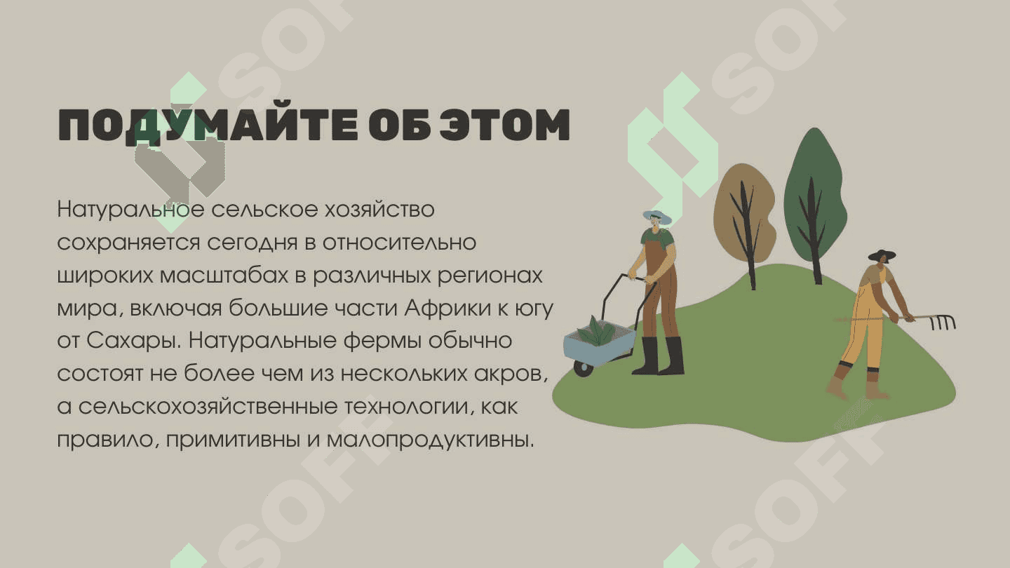 "Натуральное хозяйство - Презентация на русском языке (Самостоятельная работа, 1 курс)" 4