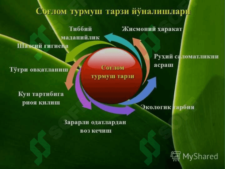 31 май – Халқаро кашандаликка қарши курашиш куни 3