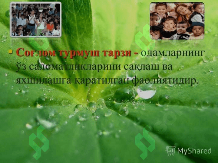 31 май – Халқаро кашандаликка қарши курашиш куни 4