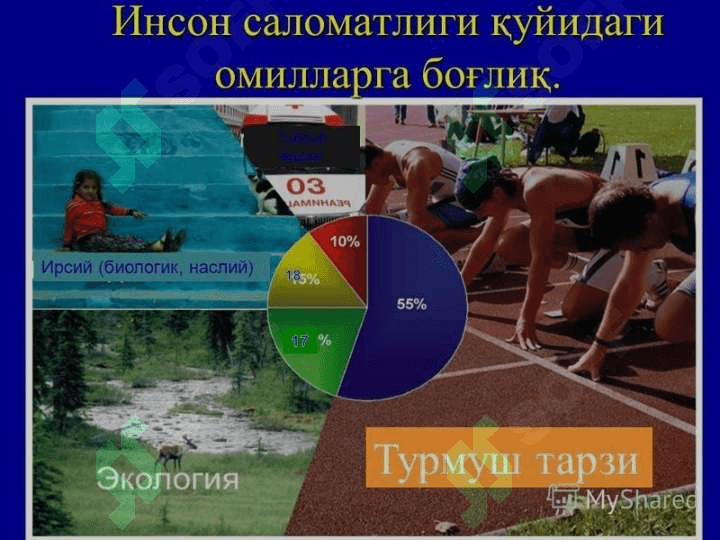 31 май – Халқаро кашандаликка қарши курашиш куни 5