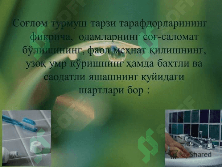 31 май – Халқаро кашандаликка қарши курашиш куни 8