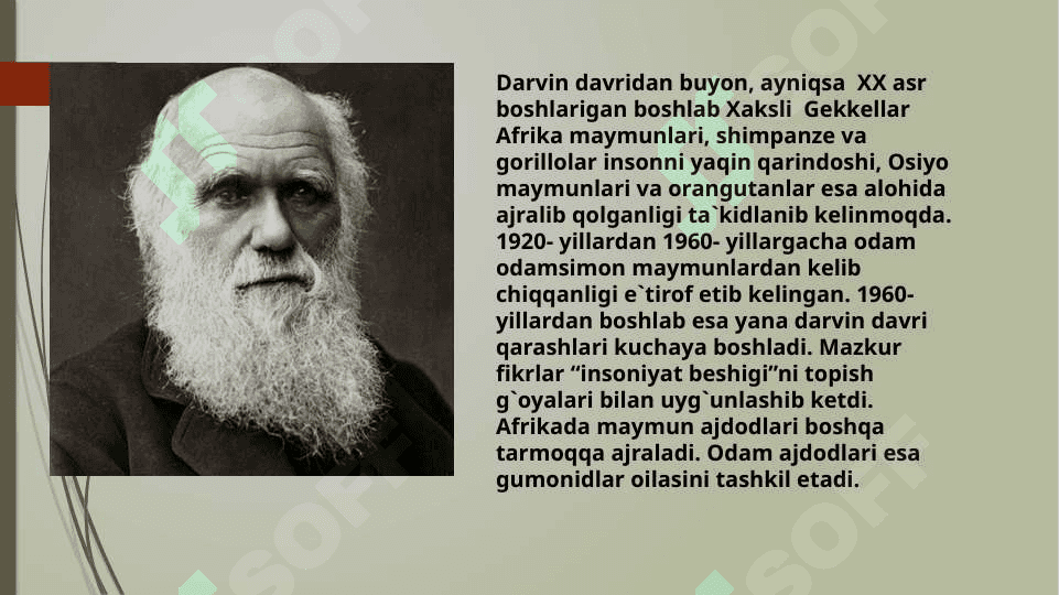Odam evolutsiyasi borasidagi qarashlar 3