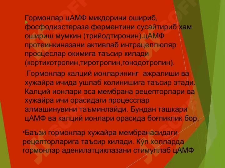 Гормонлар ва гормонал дори воситалари. gormonlar va gormonal dori vositalar 4