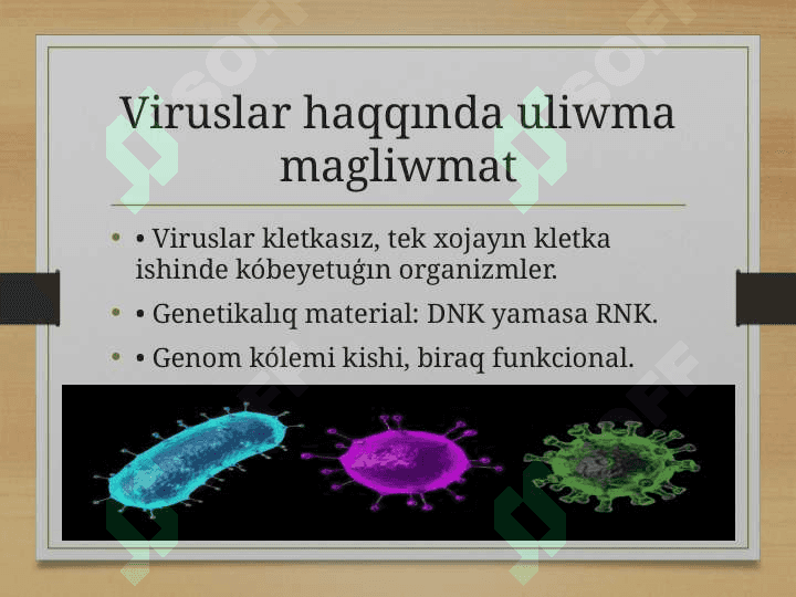 Virus va faglar genomi 3