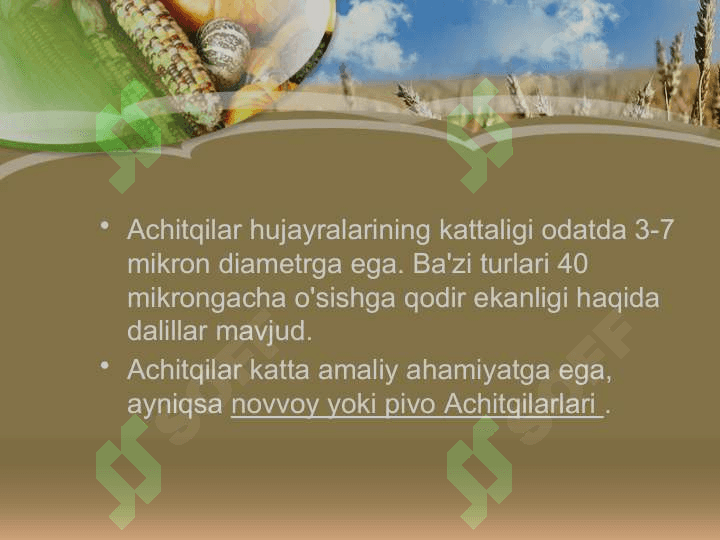 Achitqilar 7