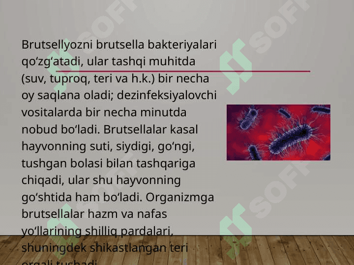 Oziq-ovqat mahsulotlari kasalliklariOziq-ovqat mahsulotlari kasalliklari 8