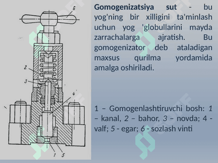 Bolalar ozuqasi sut ishlab chiqarish 6
