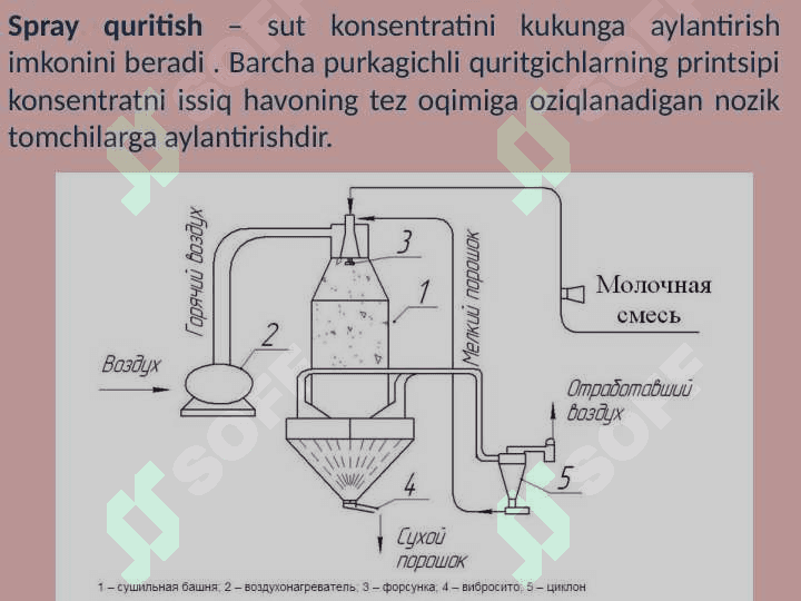Bolalar ozuqasi sut ishlab chiqarish 7