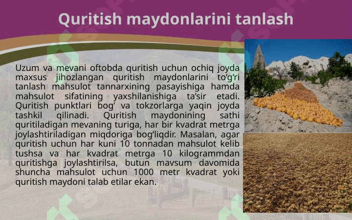 Meva-sabzavotlarni quritish maydonini tashkil etish 3