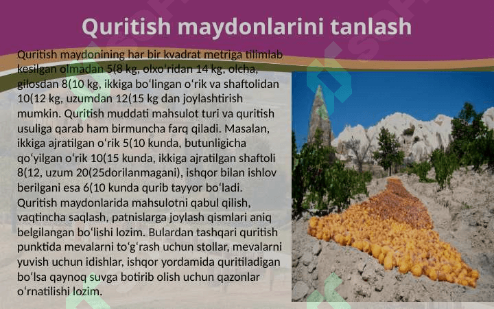 Meva-sabzavotlarni quritish maydonini tashkil etish 4