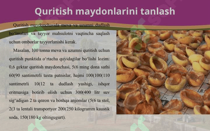 Meva-sabzavotlarni quritish maydonini tashkil etish 5