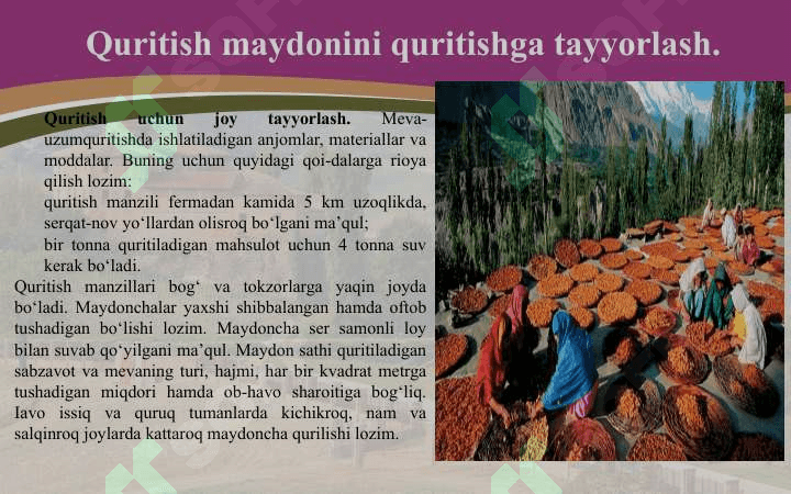 Meva-sabzavotlarni quritish maydonini tashkil etish 6