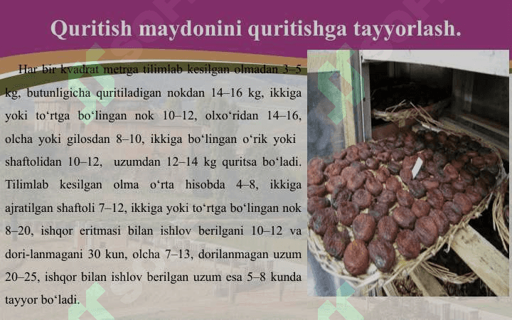 Meva-sabzavotlarni quritish maydonini tashkil etish 7