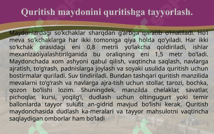 Meva-sabzavotlarni quritish maydonini tashkil etish 8
