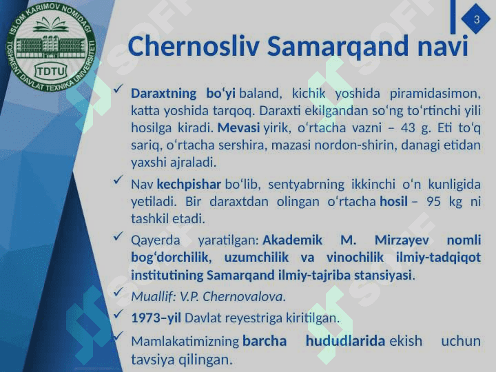 Smenada 6 tonna olxo‘ri pyuresi va 2 tonna tindirilgan olma sharbati ishlab chiqarish texnologik liniyalarini loyihalashtirish 4