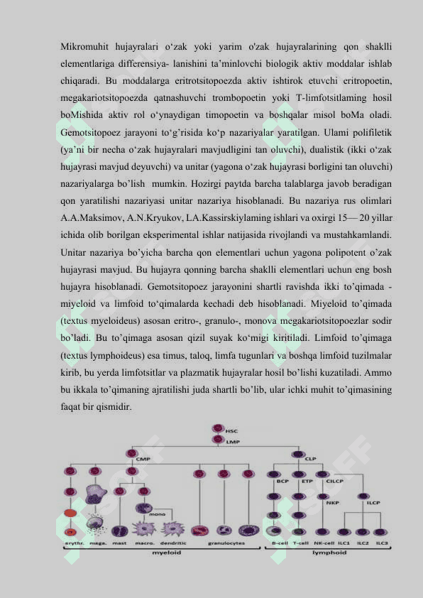 Gemopoez 6