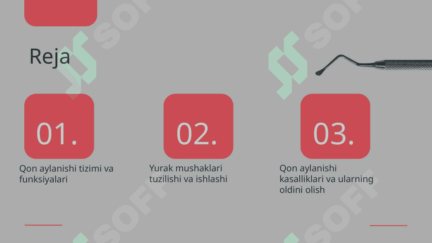 Qon aylanishi.Yurak mushaklari 2