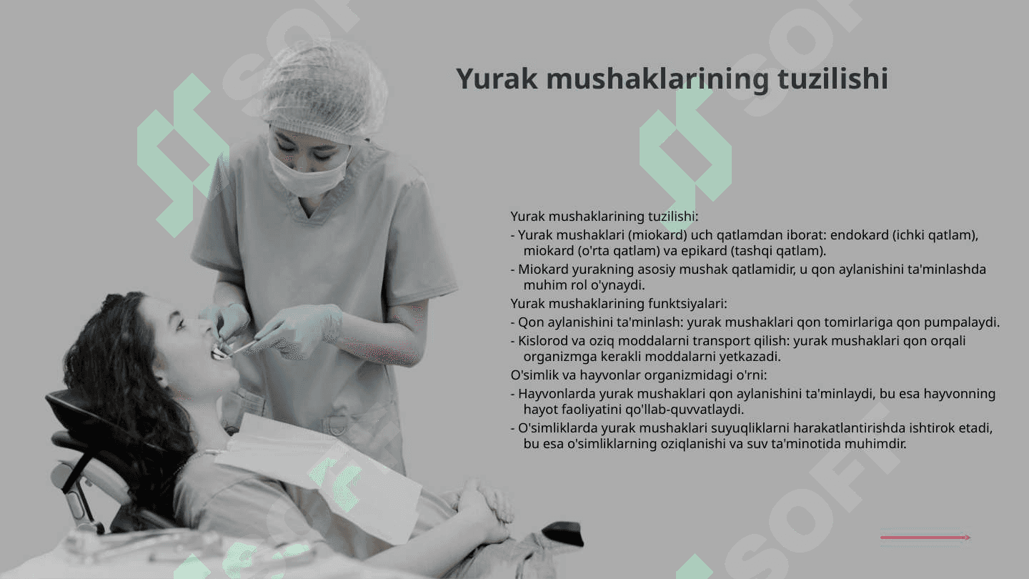 Qon aylanishi.Yurak mushaklari 8