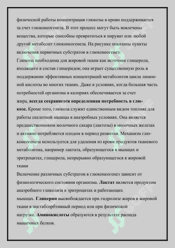 ПУТИ ОБМЕНА ЛАКТАТА ЦИКЛ КОРИ 3
