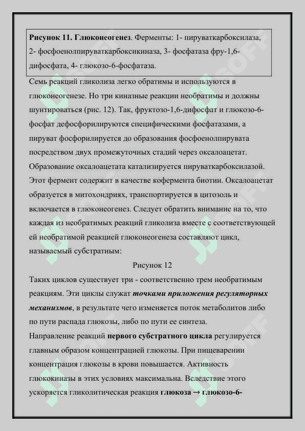 ПУТИ ОБМЕНА ЛАКТАТА ЦИКЛ КОРИ 4