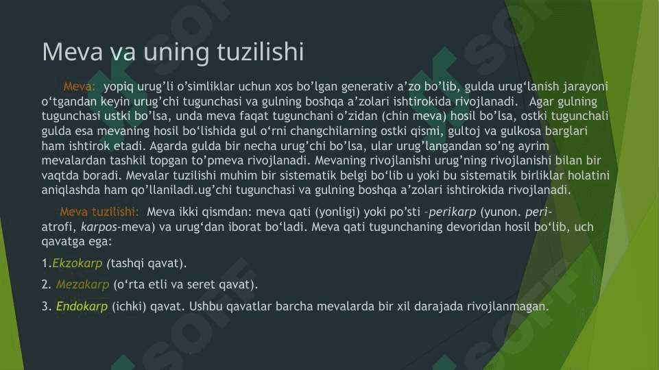MEVALAR HAQIDA MA’LUMOT 2