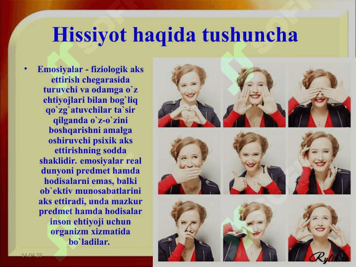 His tuyg'ularning rivojlanishi 2