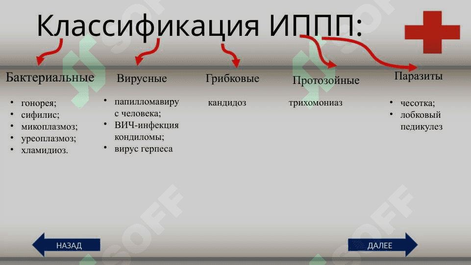 венерические заболевание 3