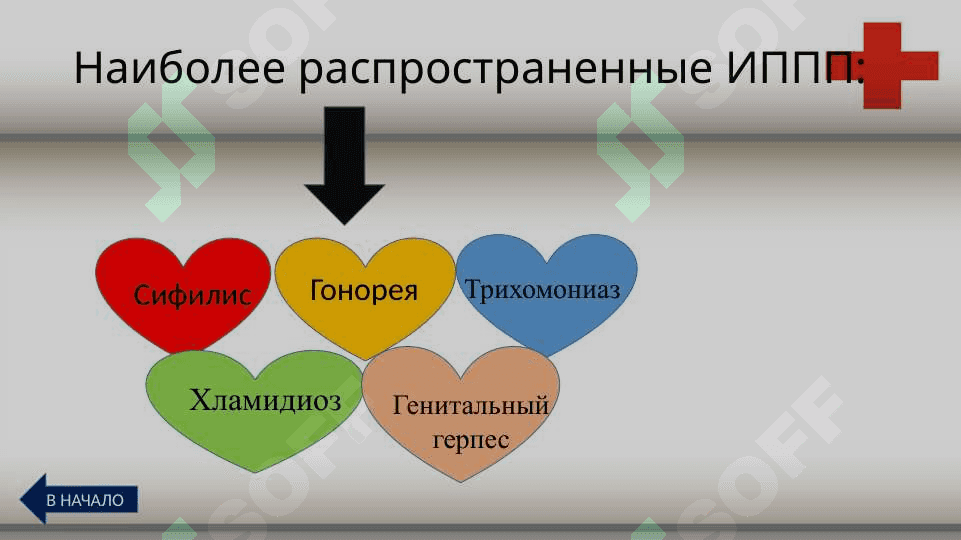 венерические заболевание 8